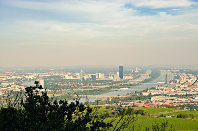 View From Kahlenberg