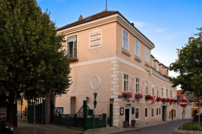 Old House In Grinzing