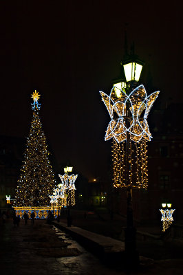 Lanterns In Holiday Dresses