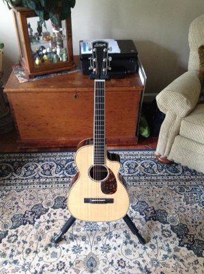 Larrivee PV-09(e)