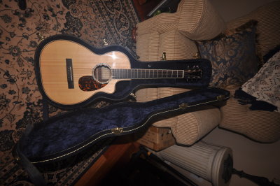 Larrivee PV-09(e)