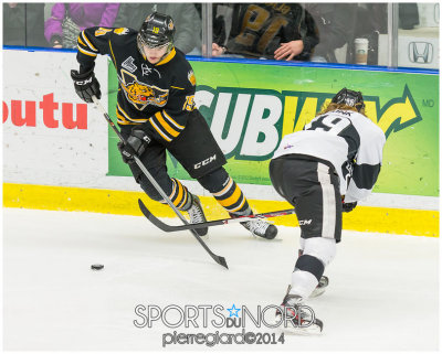 Armada c. Victoriaville 20140124-27.jpg