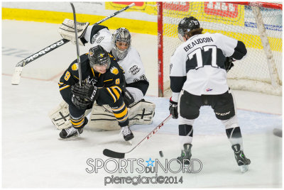 24 janvier 2014 - Victoriaville vs Armada