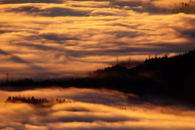Burnaby Mountain Fog at Sunrise