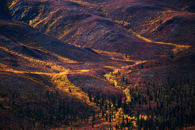 Tombstone Fall Colours