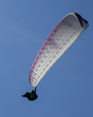 Hang-Glider
