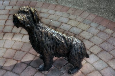 VCC - 03 - Statues - One Of Emily Carr's Dog: Billie.