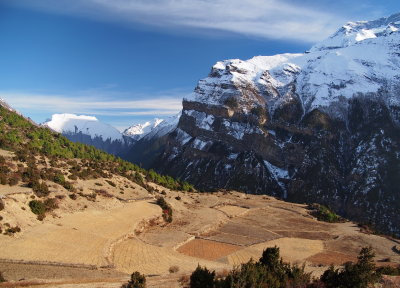 fields close to Annapurna massif