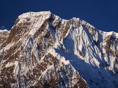 morninglight on Annapurna III
