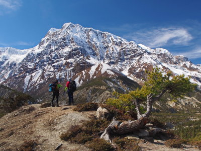 admiring Annapurna III