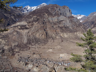 Manang