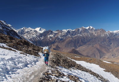 porter ascending towards Thorung La
