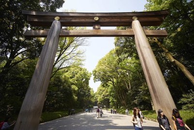 Torii of Meiji Shrine @f8 a7 