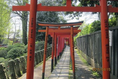 at Nezu Shrine 