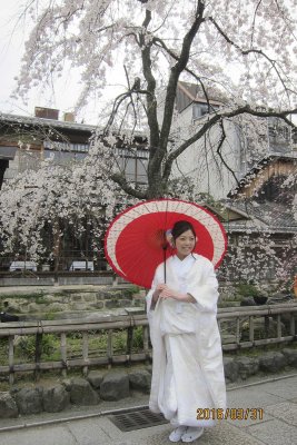 in Gion Kyoto