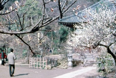 Kamakura Zuisen-ji