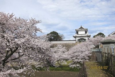 Kanazawa castle 
