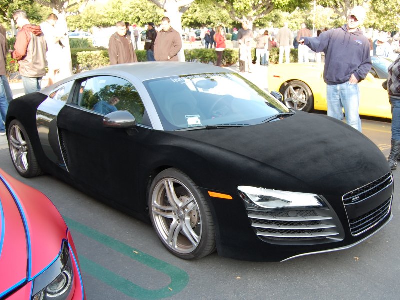 Fur covered Audi R8?!?