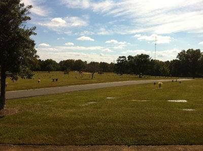 IMG_1073.jpg