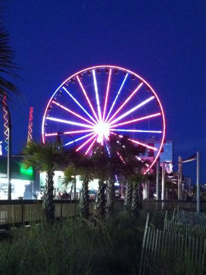 IMG_1050.jpg