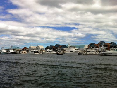 IMG_0993.jpg