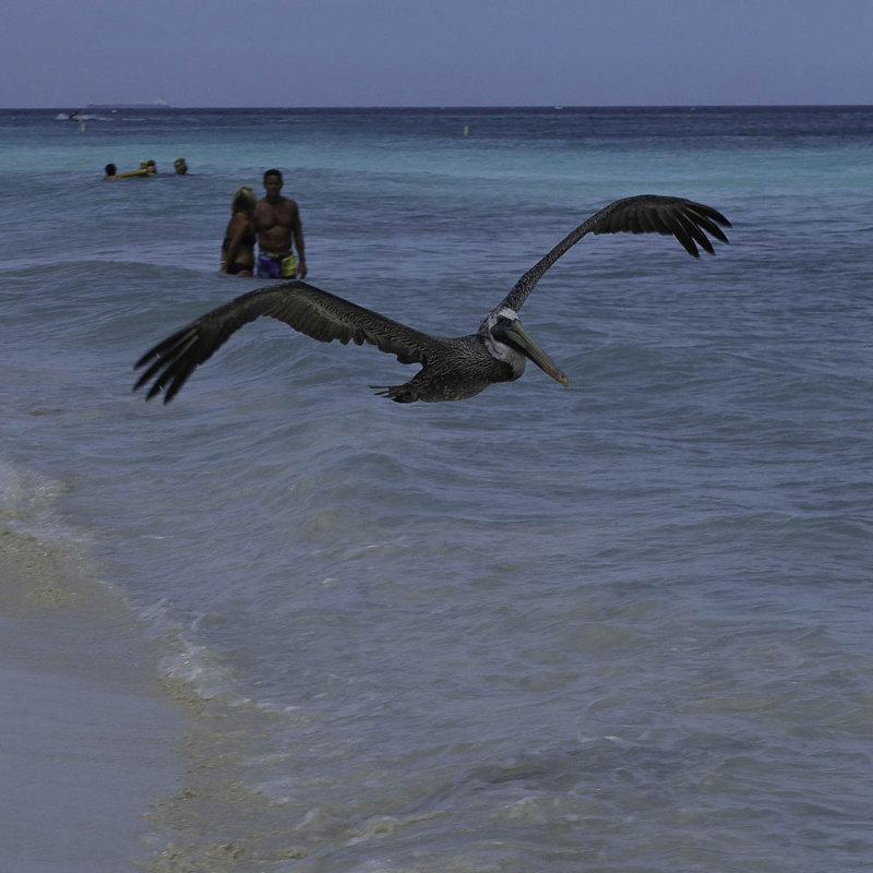 Eagle Beach