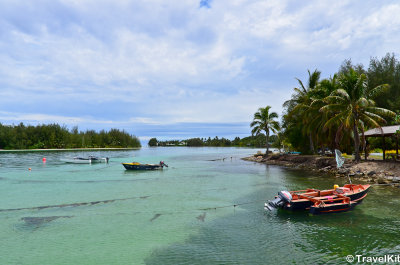 Tropical Rarotonga