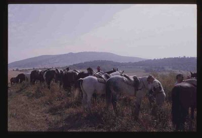 01-Spain '86 The Ride 02.jpg