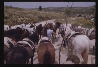 01-Spain '86 The Ride 04.jpg