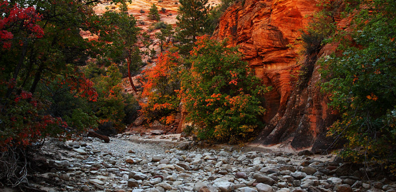 Colors of Autumn