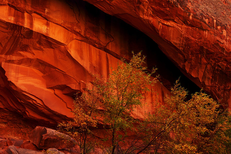 Fissure in the Wall