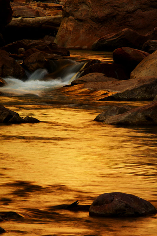 Flow of the Gold