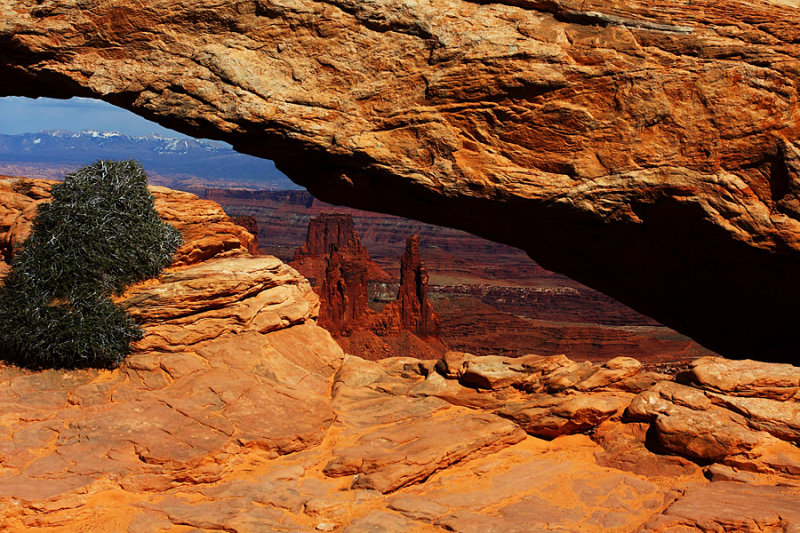 Window to the Canyon