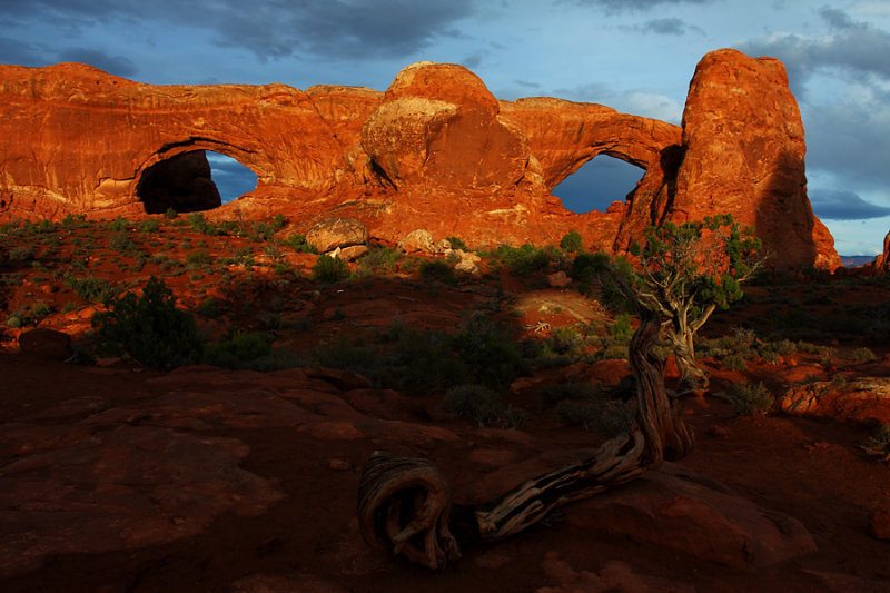 Watching Over Arches