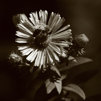 g9/62/657162/3/164173856.hO9GG1cB.jpg