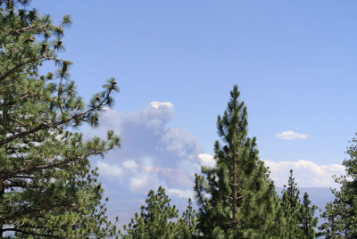 Bison_Fire_1.jpg