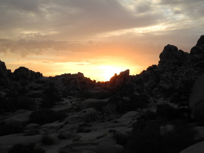 Joshua tree NP