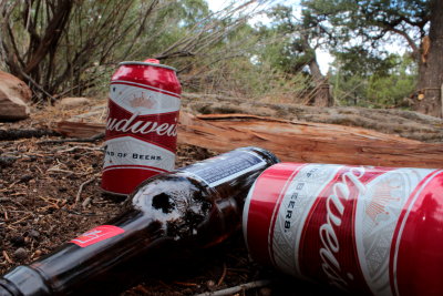 beer