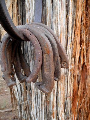 Horseshoe