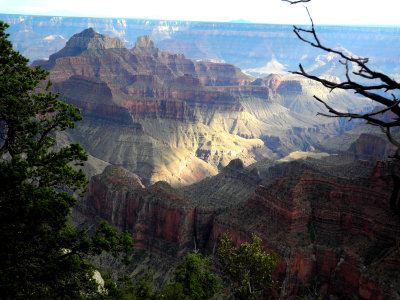 Grand Canyon north Rime