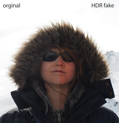 half/half Nanuk HDR Fake 