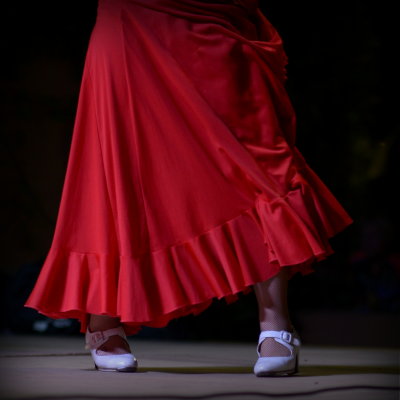 Flamenco shoe