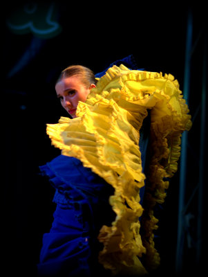 Flamenco BlueYellow