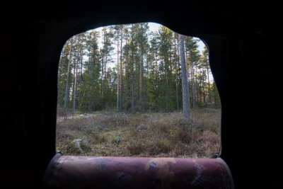 Hide