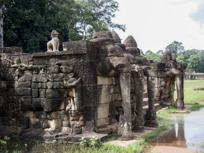 Elephant Terrace