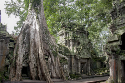 Ta Prohm