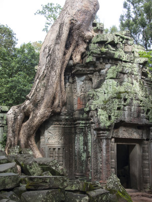 Ta Prohm