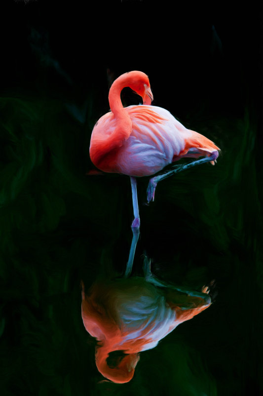 Pics for 2012 show 120.jpg
