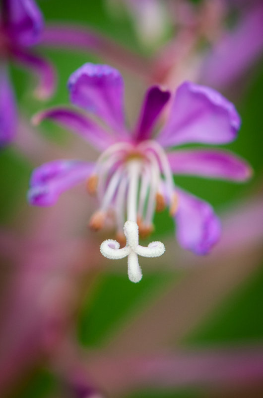 Finlayson Aug 2014 6.jpg