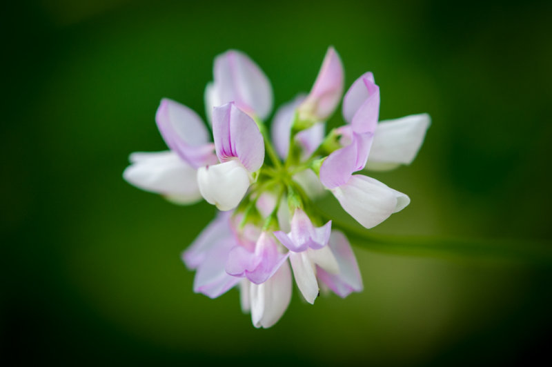 Finlayson Aug 2014 8.jpg